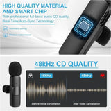 Wireless Mic K9 Dual Microphone Mic Plug
